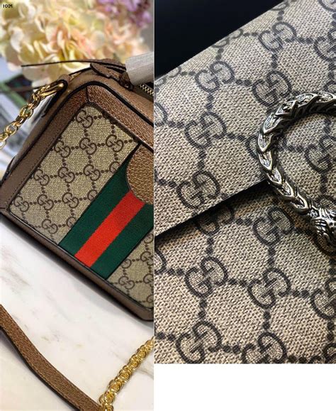 gucci colorata